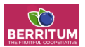 Logo klienta Berritum